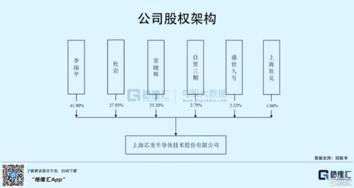 芯龍技術首發上會 年入2.09億元背后的研發隱憂